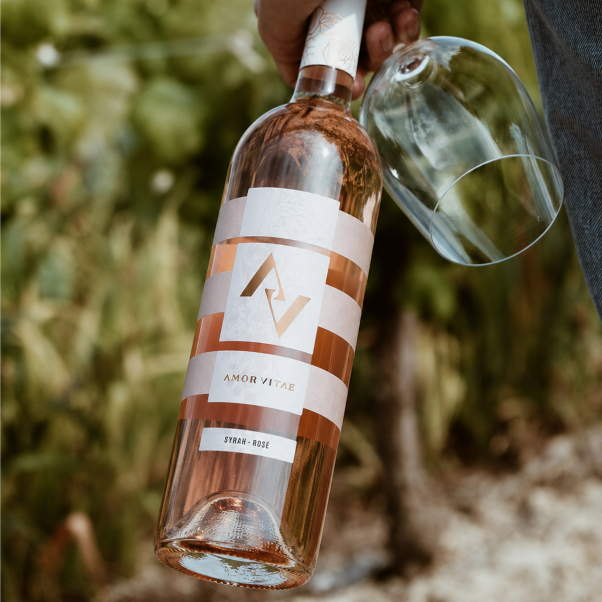 Syrah rosè — Amor Vitae